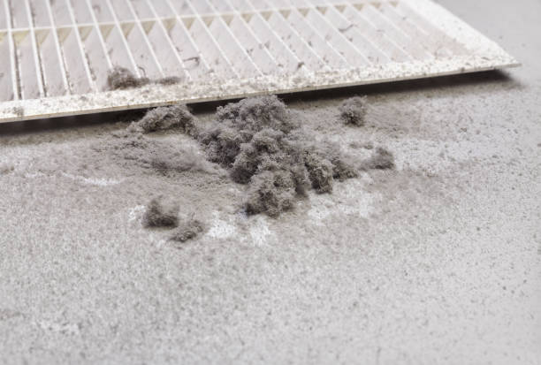 Best Ductwork Cleaning Services  in Dyer, IN