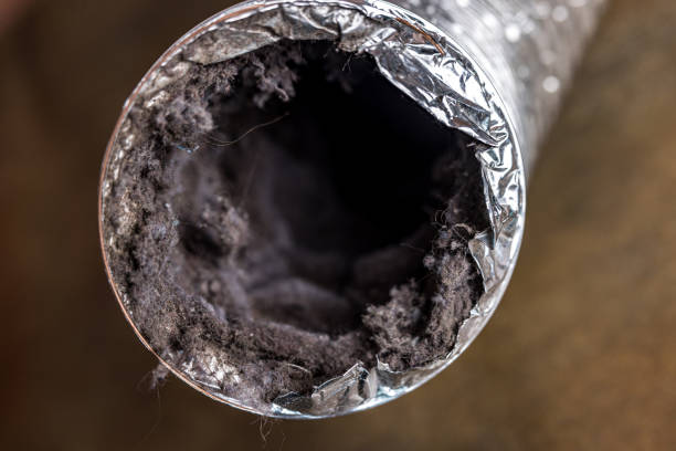 Best Air Vent Cleaning Services  in Dyer, IN