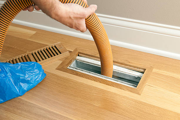 Best Affordable Duct Cleaning Services  in Dyer, IN