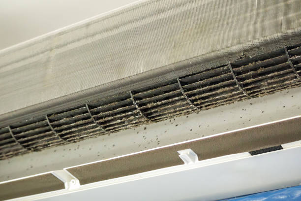 Best HVAC Maintenance and Cleaning  in Dyer, IN